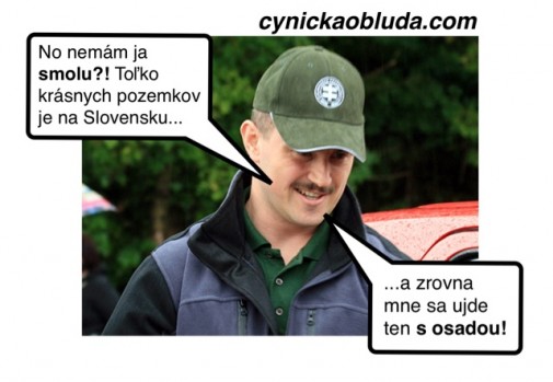 Príspevok 29553